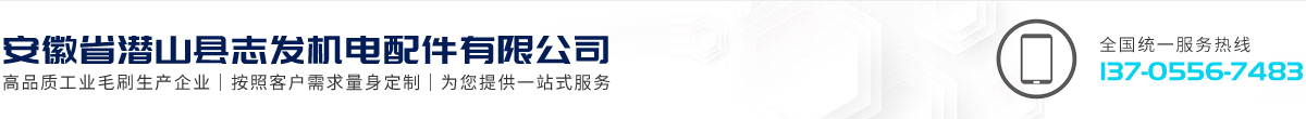 安徽省潛山縣志發機電配件有限公司